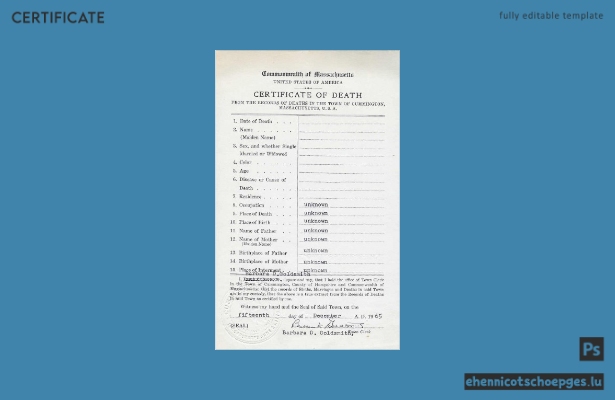 Beispiel einer Sterbeurkunde des Commonwealth of Massachusetts, USA